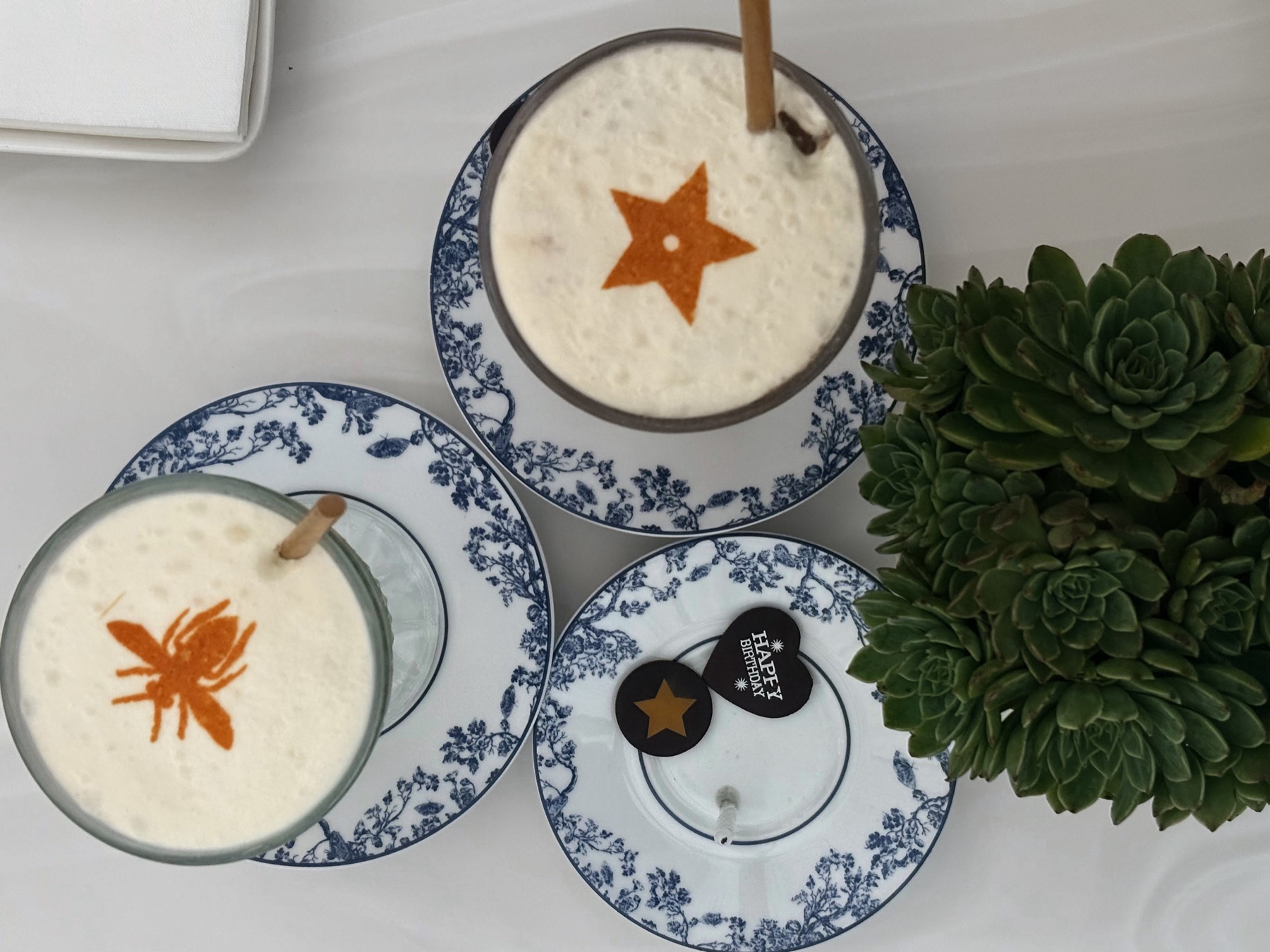 Latte art flatlay with succulents